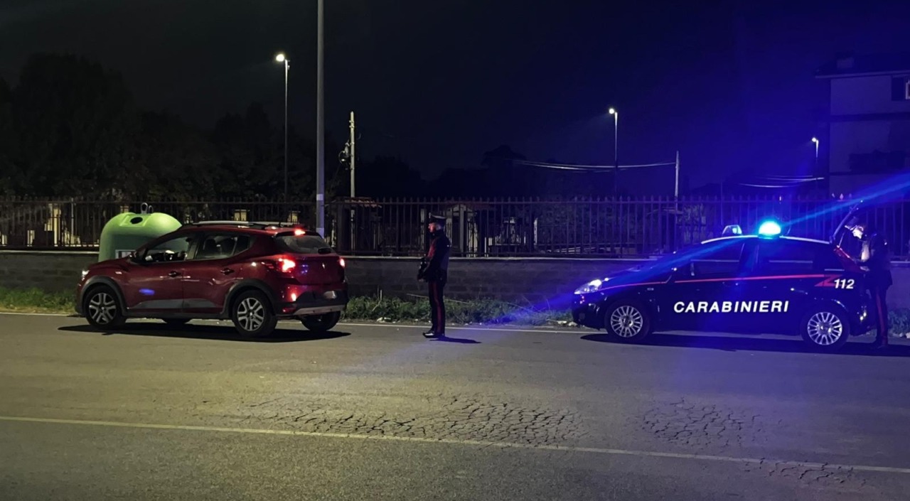 Arezzo, tre lupi feriti o uccisi: Enpa presenta gli atti
