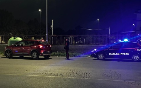Arezzo, tre lupi feriti o uccisi: Enpa presenta gli atti