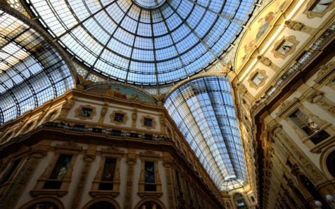 Zoomorphica, la mostra al Museo Civico supera i 10mila ingressi
