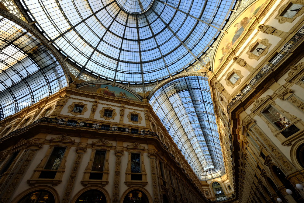 Zoomorphica, la mostra al Museo Civico supera i 10mila ingressi