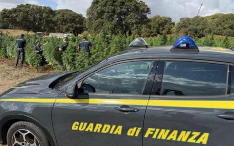 Sequestrata linea produttiva e marchio di storico pastificio